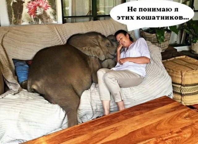 Картиночки, баянчики 10 июня