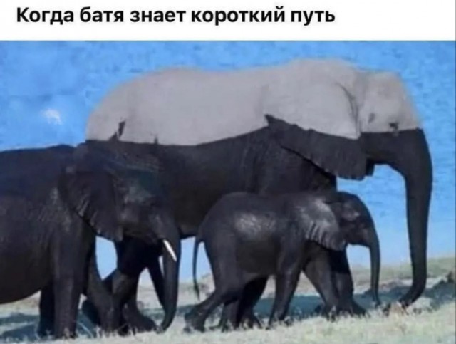 Картинки для деградации 221 (разной степени свежести)