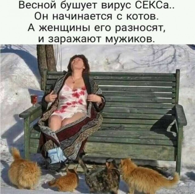 Тупеть надо с комфортом
