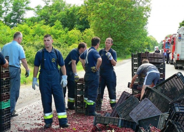 Черешня не доехала