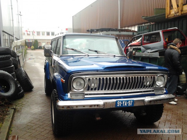 Где яблоки растут!