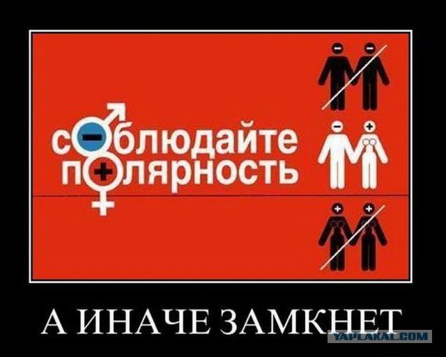 В США друг на друге женились три лесбиянки