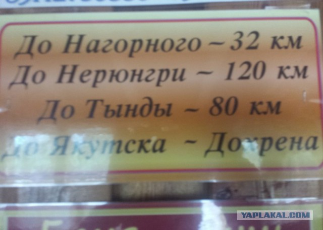 Шикарные объявления августа месяца