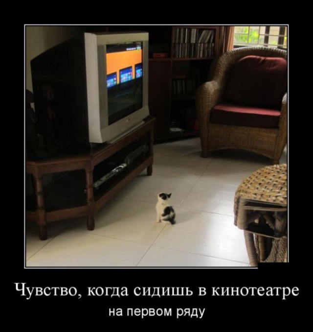 Весёлые картинки