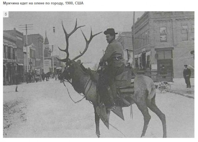 Подборка редких фотографий со всего мира. Часть 15