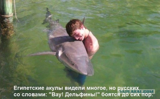 Кто идет купаться?