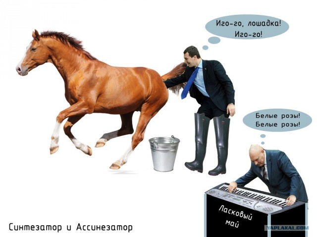 Кнопкодавы