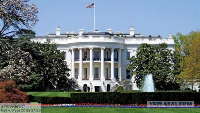 Будни самого престижного публичного дома в США