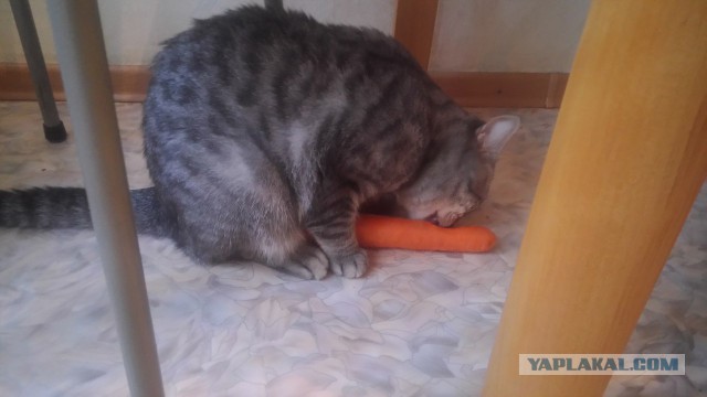 Как правильно давить слезу