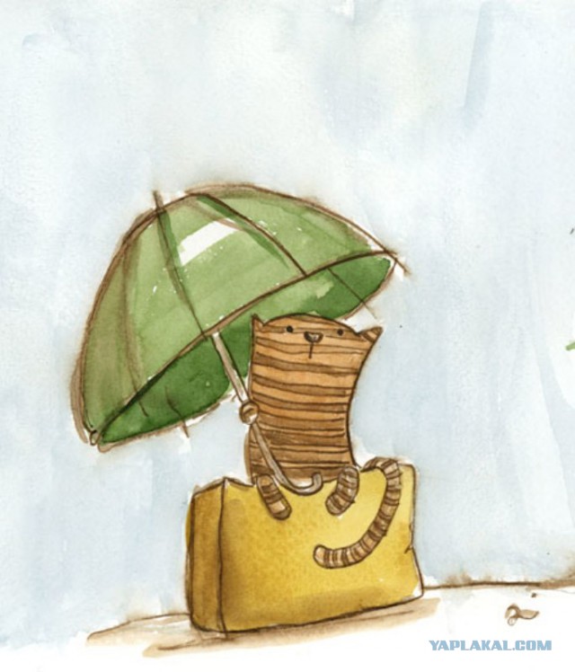 Дрался с соседским котом на крыше и оба свалились в кучу свежего навоза.