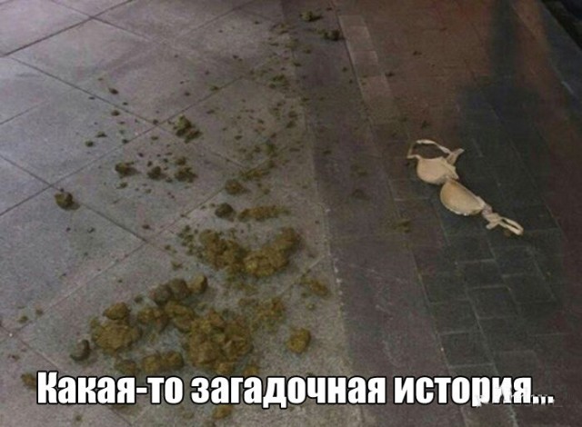 Смешные картинки из сети на 26.10.16