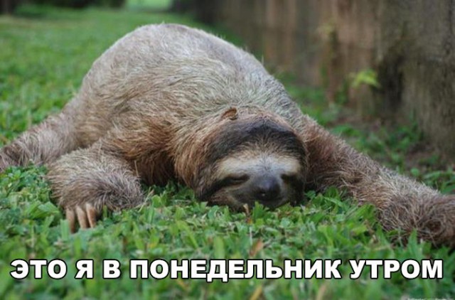 Адовый трэш и тупизм на начало недели