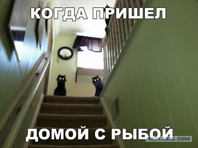 Картинки всякие для поднятия настроения