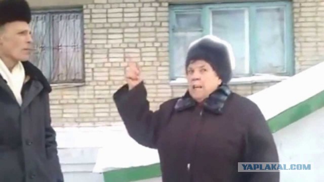 В Москве возбуждено уголовное дело против зоозащитника, спасавшего кошек