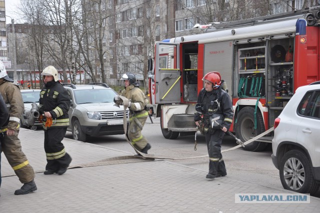Вдогонку темы про МЧС и Михалкова