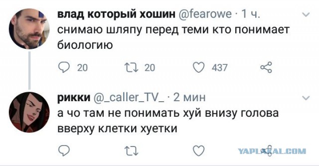 Так, граждане тунеядцы! Картинки, значит, смотрим