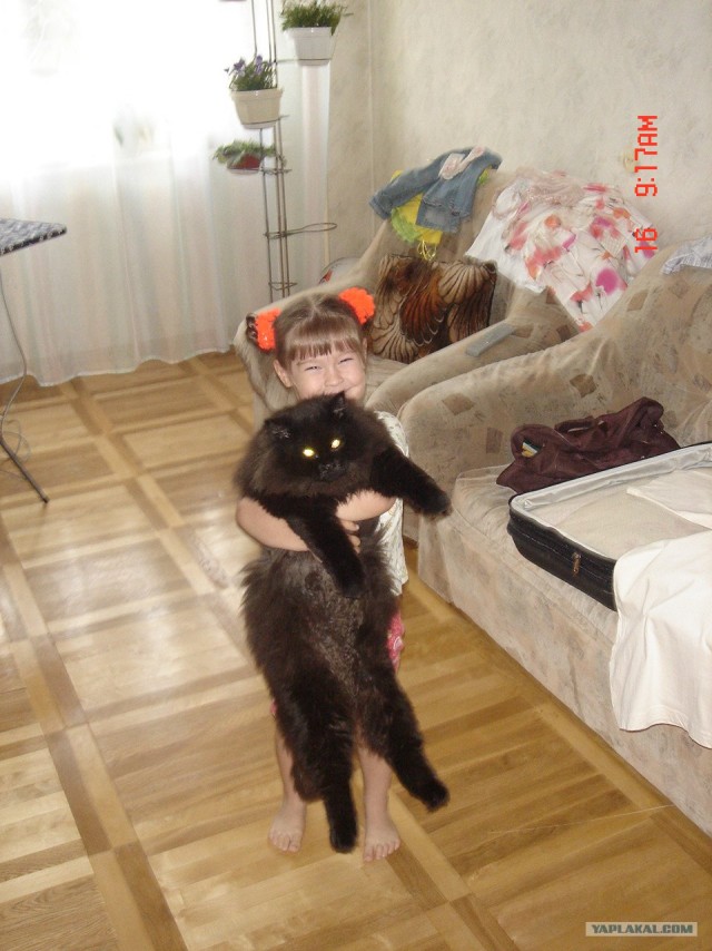 Котовторник 27.03.2012