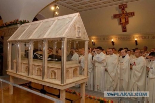 Ни жив, ни мертв (13 фото)