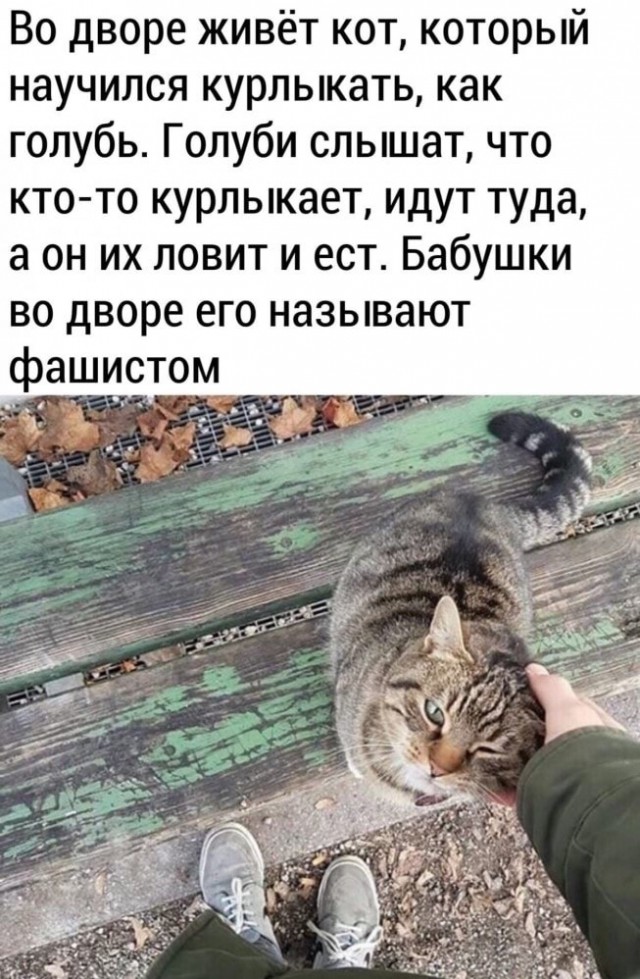 Чуток картинок. Субботний выпуск