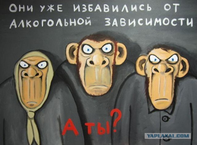 Не знаю, что делать - мелкий черный кот