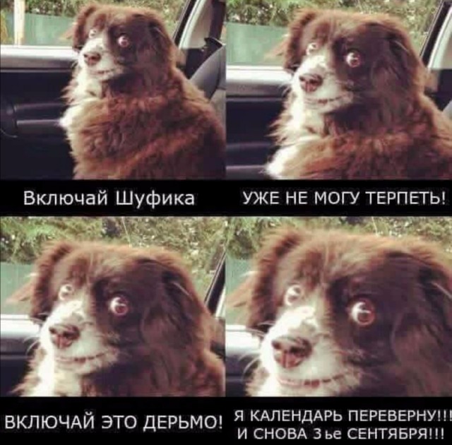 Бредзона 03.09.2020