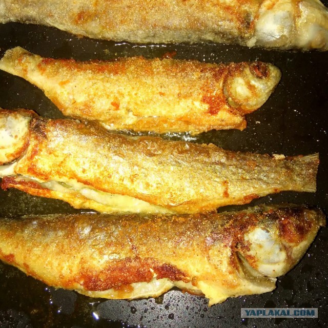 #ЯПовар. Минтай под овощным маринадом с майонезом