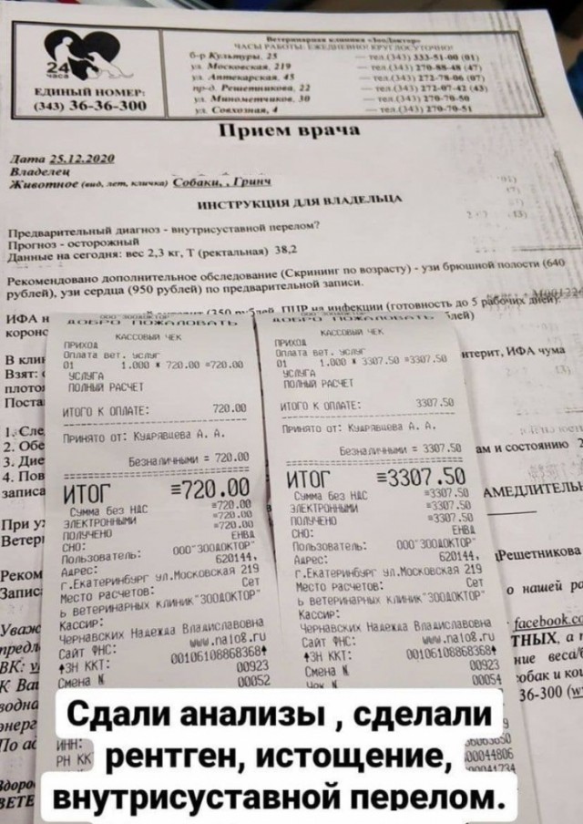 Наигрались и выбросили в мусорку. Собаку выкинули на мороз в пакете в Екатеринбурге