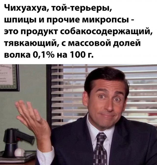 Весёлый полтишок 21.07