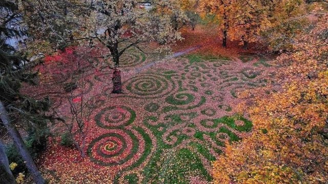 Картинки и мемы, всем прекрасных выходных