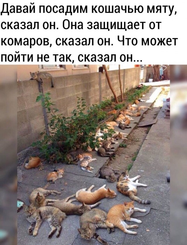 Просто картинки 24.03.2022