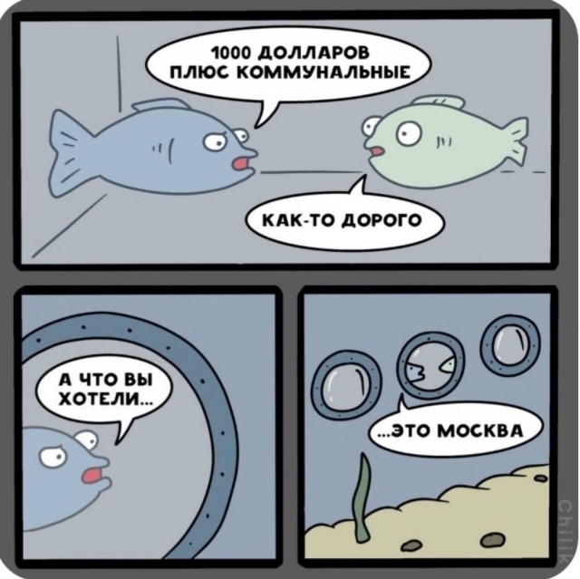 Так себе картинки 14.05.22