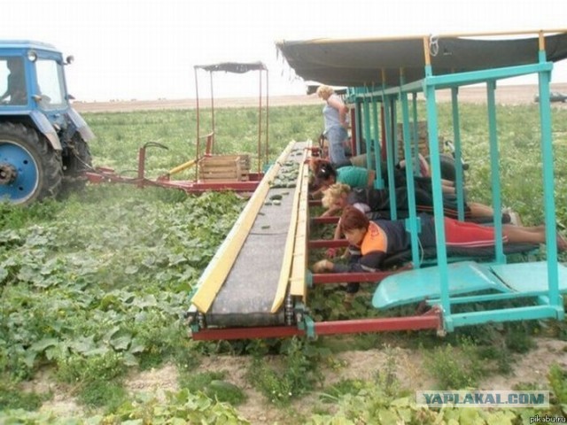 Современная сельхозтехника другого уровня