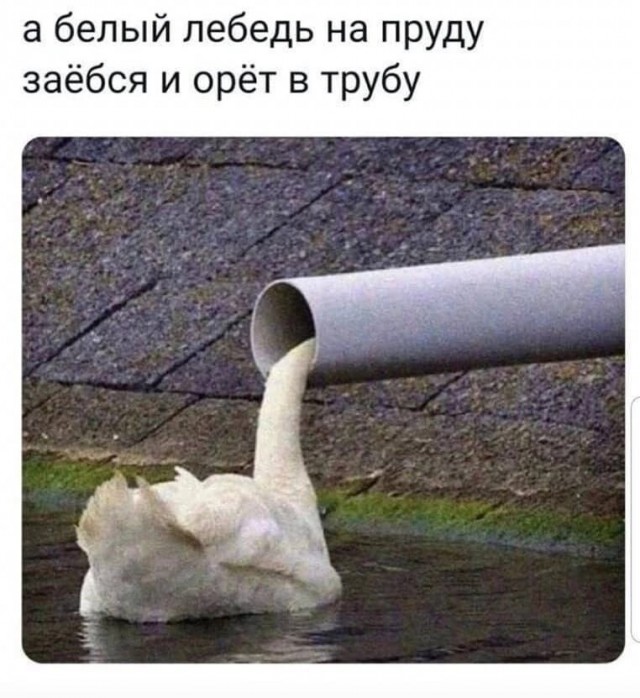 Юмор в картинках и без 01.12.2022