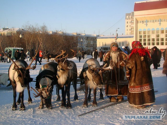 Дорога, которой нет: зимник Вуктыл - Воркута