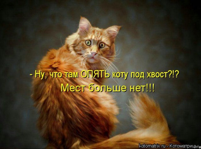 Демократия в опасности!