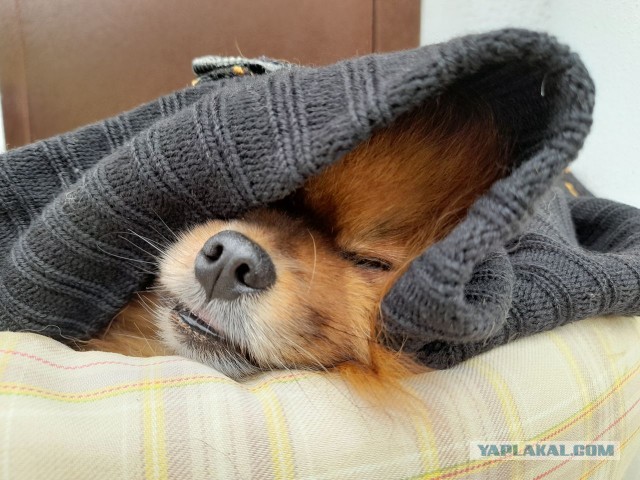 Ещё пока четверг