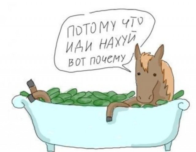 В пожарной части увековечили... котика