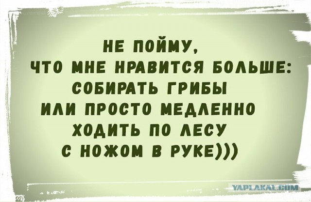 Для чего лесникам, грибникам и прочим рыбакам камуфляж?