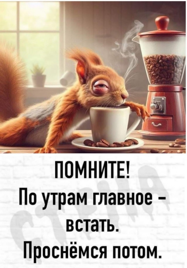 Сколько-то картинок
