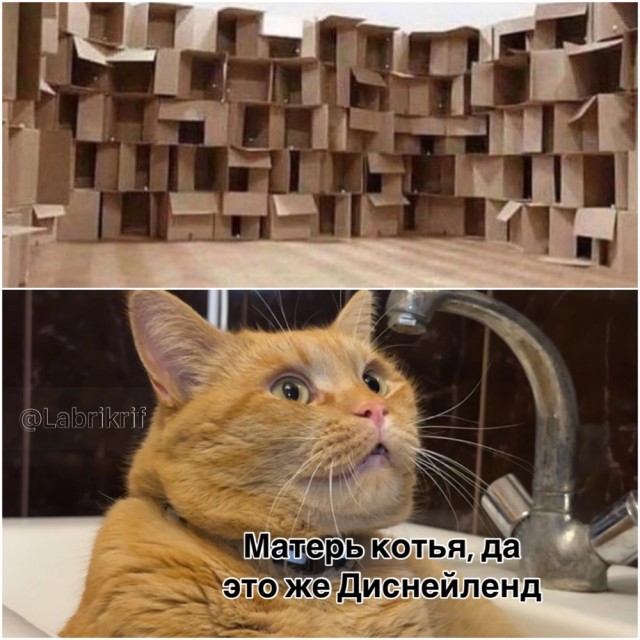 Завалялось тут случайно немного забавных картинок
