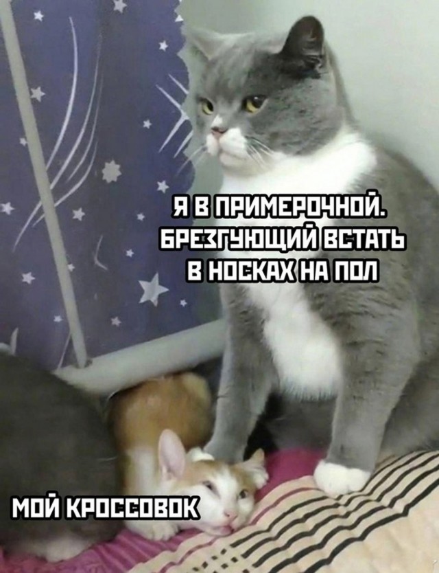 Картинки разные с надписями и без