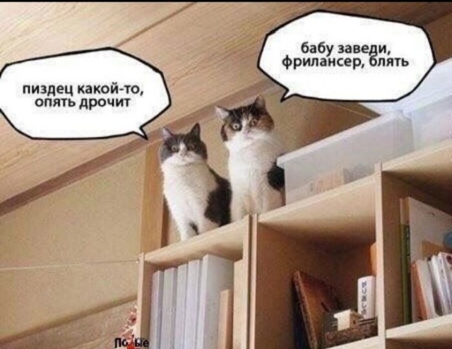 Ты смотри, чё кожаный делает