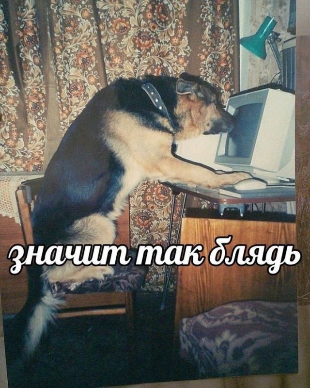 From the archives. Часть первая.