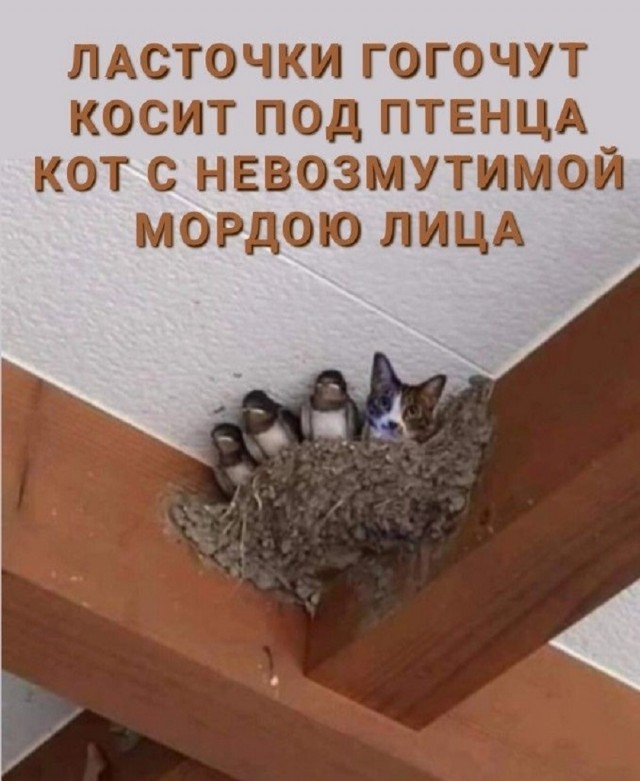 20211474.jpg