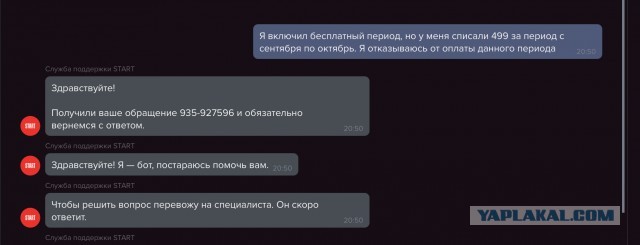 START. Пробный период.