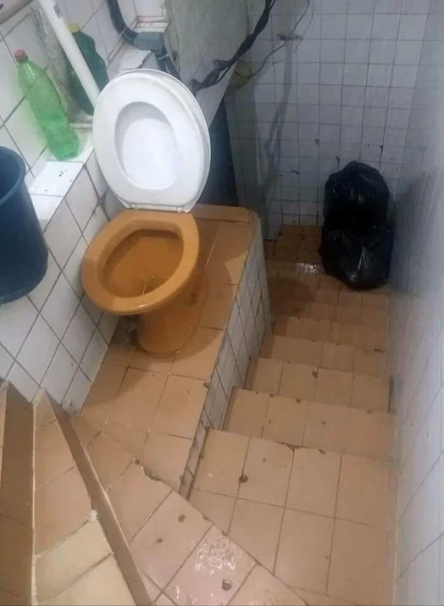 Вроде как зелень положена?