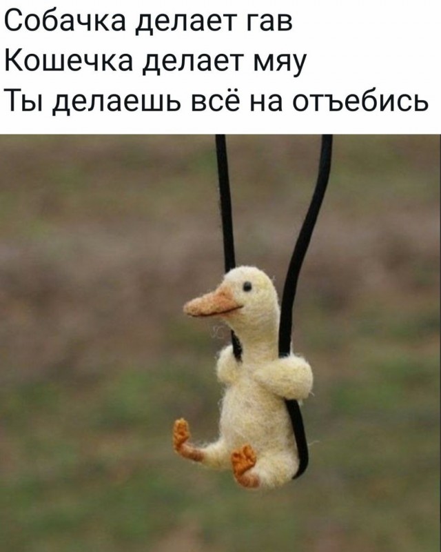 Смешнявых и не очень картинков пост