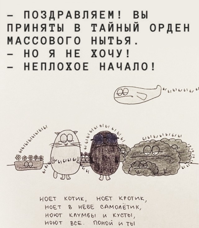 Так себе картинки 22.10.25