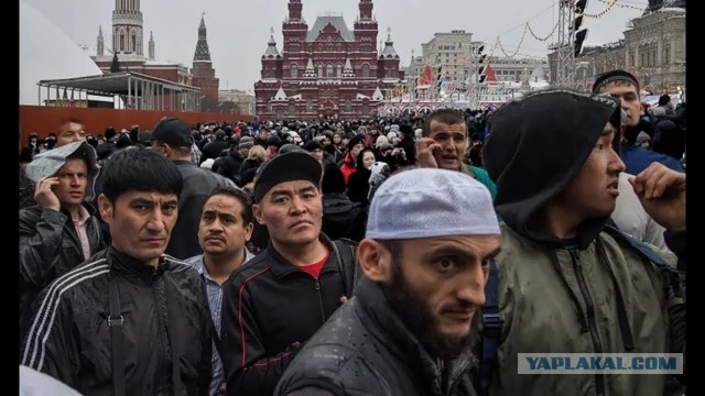 Маск заявил о «великом замещении» населения Европы