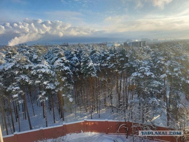Доброе утро ЯП